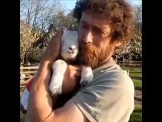 animals love hugs too