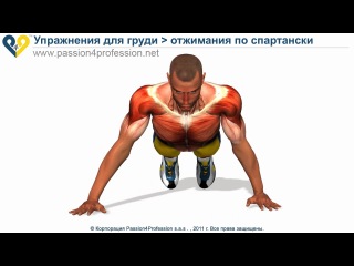 exercises for the development of the pectoral muscles. spartan pushups [hd]