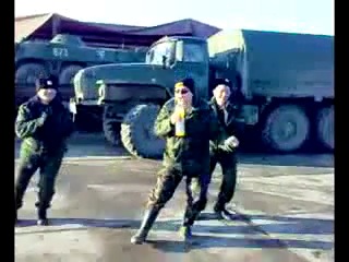 yellow tulips in the army ))))))))))))
